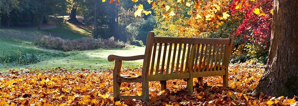 dealing with probate